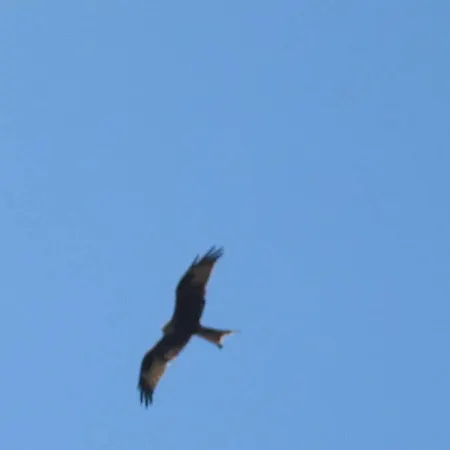 شقة A Dans La Plaine Du Reginu 1, Pour 3 Personnes